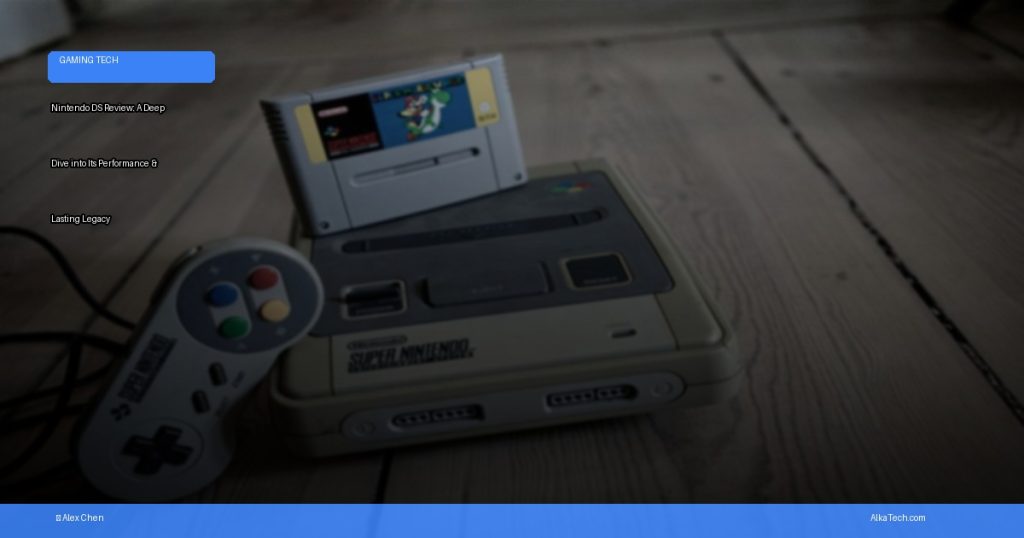 nintendo ds review | AlkaTech